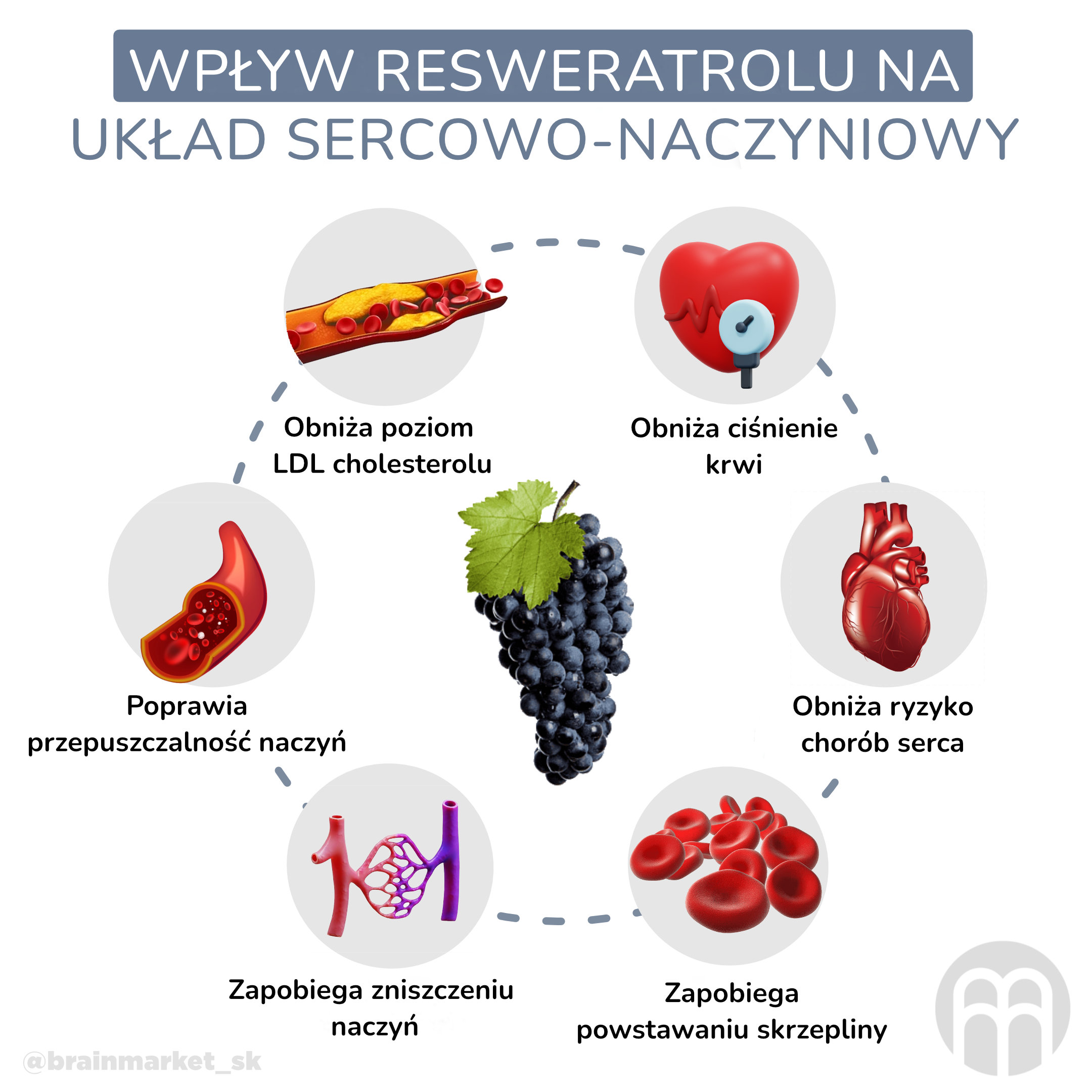 vliv resveratrolu na kardiovaskularni system_infografika_pl